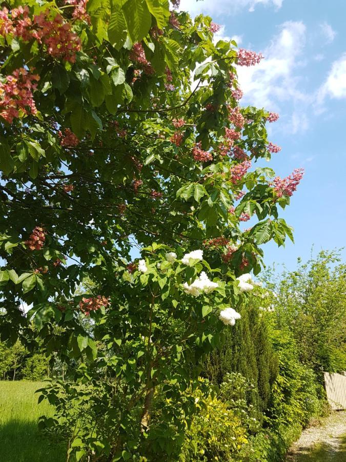 Le Cottage Exotique Du Lutin Many & Son Bain Nordique Saint-Christophe-Sur-Conde Екстериор снимка